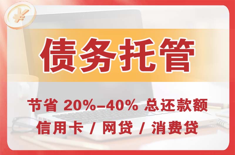 宿松债务托管