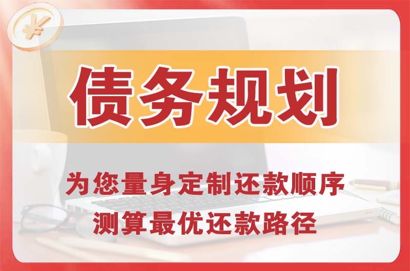 宿松债务规划